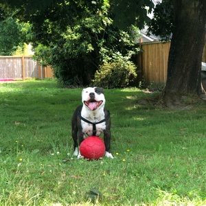 Meet your Posher, Sky-lynn